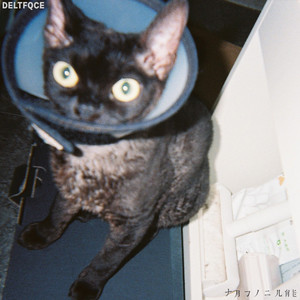 亚洲明星合成综合久久
